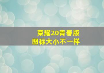 荣耀20青春版图标大小不一样