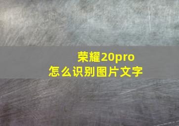 荣耀20pro怎么识别图片文字