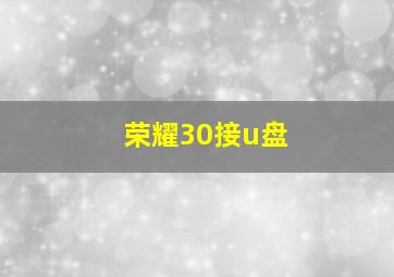 荣耀30接u盘