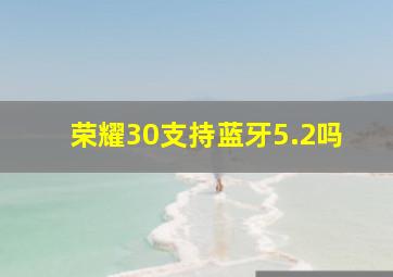 荣耀30支持蓝牙5.2吗