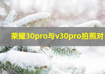 荣耀30pro与v30pro拍照对比