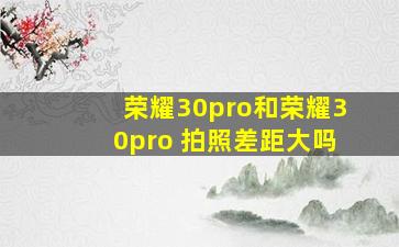 荣耀30pro和荣耀30pro+拍照差距大吗