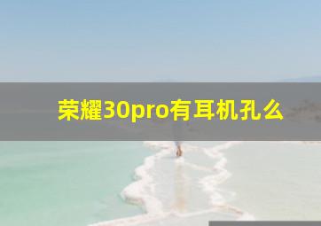 荣耀30pro有耳机孔么