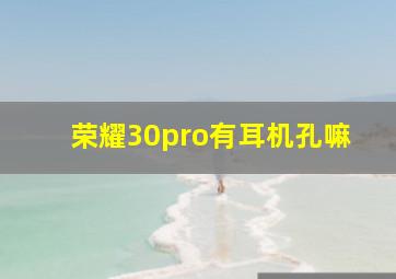 荣耀30pro有耳机孔嘛