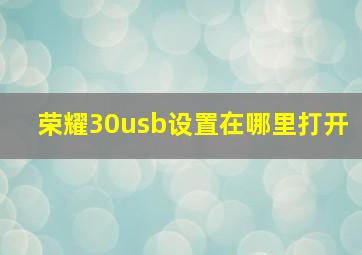 荣耀30usb设置在哪里打开