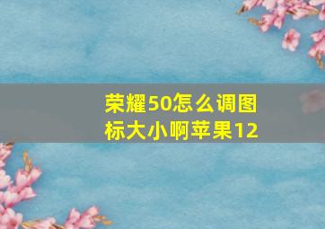 荣耀50怎么调图标大小啊苹果12