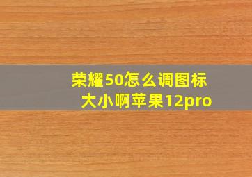 荣耀50怎么调图标大小啊苹果12pro