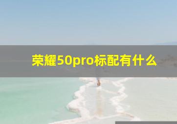 荣耀50pro标配有什么