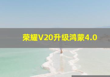 荣耀V20升级鸿蒙4.0