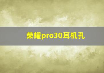 荣耀pro30耳机孔