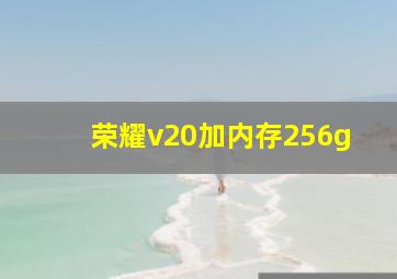 荣耀v20加内存256g