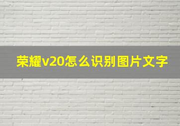 荣耀v20怎么识别图片文字