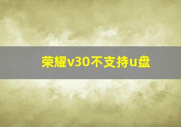 荣耀v30不支持u盘