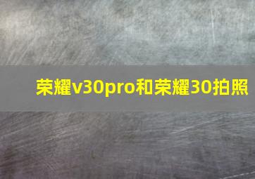 荣耀v30pro和荣耀30拍照