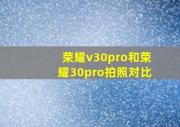 荣耀v30pro和荣耀30pro拍照对比