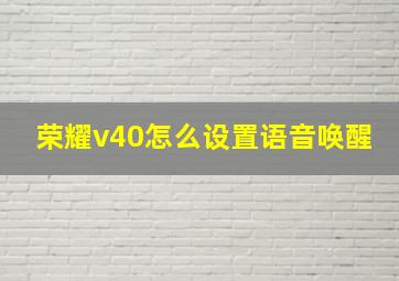 荣耀v40怎么设置语音唤醒