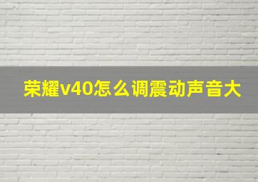 荣耀v40怎么调震动声音大