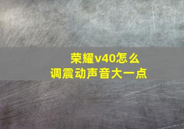 荣耀v40怎么调震动声音大一点