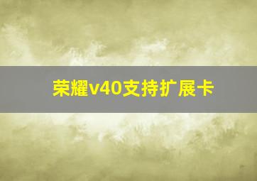 荣耀v40支持扩展卡