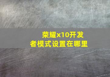 荣耀x10开发者模式设置在哪里