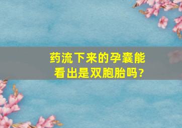 药流下来的孕囊能看出是双胞胎吗?