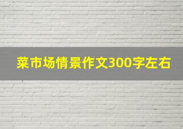 菜市场情景作文300字左右