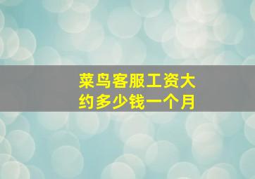 菜鸟客服工资大约多少钱一个月