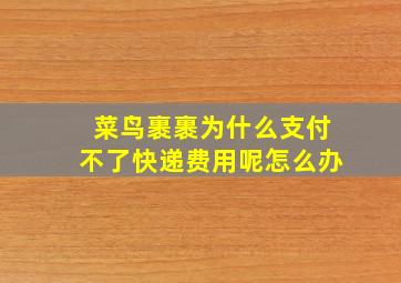 菜鸟裹裹为什么支付不了快递费用呢怎么办