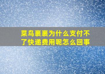 菜鸟裹裹为什么支付不了快递费用呢怎么回事