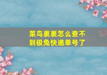 菜鸟裹裹怎么查不到极兔快递单号了