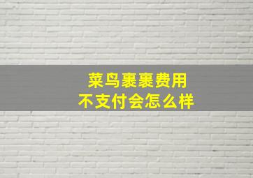 菜鸟裹裹费用不支付会怎么样