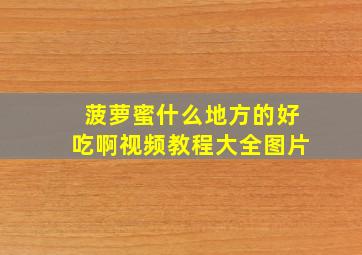 菠萝蜜什么地方的好吃啊视频教程大全图片