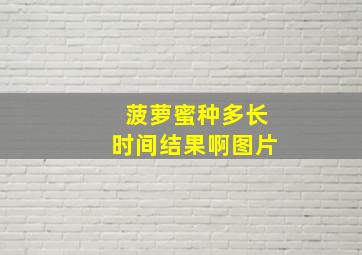 菠萝蜜种多长时间结果啊图片