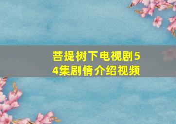 菩提树下电视剧54集剧情介绍视频