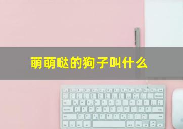 萌萌哒的狗子叫什么