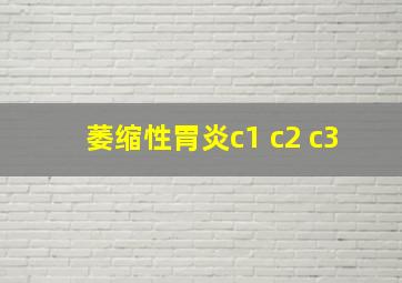 萎缩性胃炎c1 c2 c3