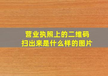 营业执照上的二维码扫出来是什么样的图片