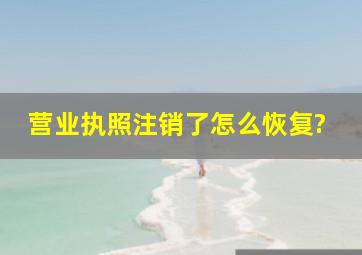 营业执照注销了怎么恢复?