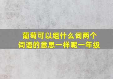 葡萄可以组什么词两个词语的意思一样呢一年级