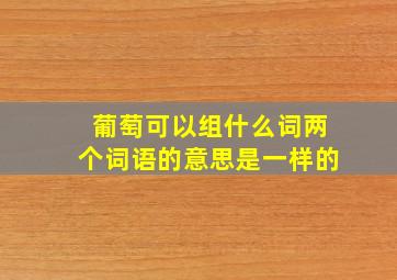 葡萄可以组什么词两个词语的意思是一样的