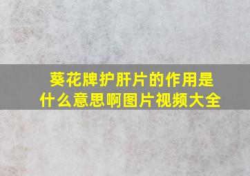 葵花牌护肝片的作用是什么意思啊图片视频大全