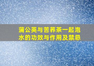 蒲公英与苦荞茶一起泡水的功效与作用及禁忌