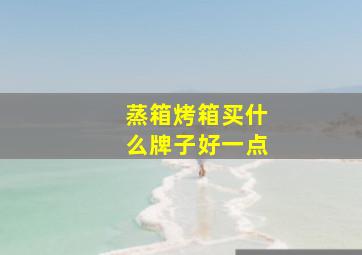 蒸箱烤箱买什么牌子好一点