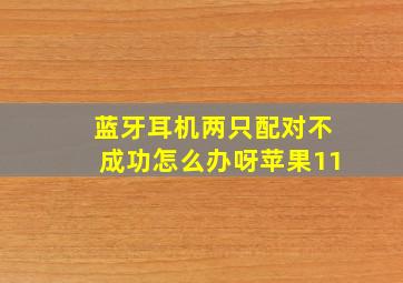 蓝牙耳机两只配对不成功怎么办呀苹果11