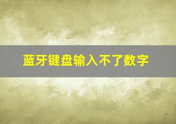 蓝牙键盘输入不了数字