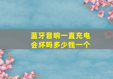 蓝牙音响一直充电会坏吗多少钱一个