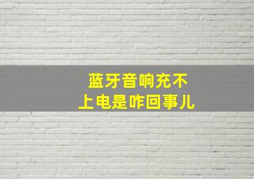 蓝牙音响充不上电是咋回事儿