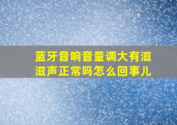 蓝牙音响音量调大有滋滋声正常吗怎么回事儿