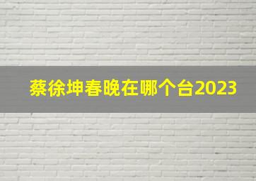 蔡徐坤春晚在哪个台2023