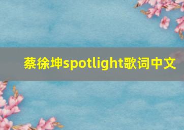 蔡徐坤spotlight歌词中文